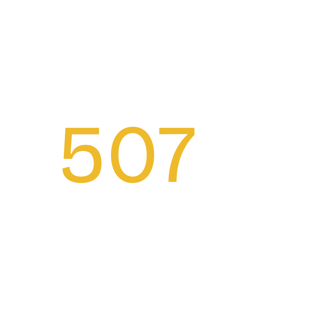 The 507 Network Logo